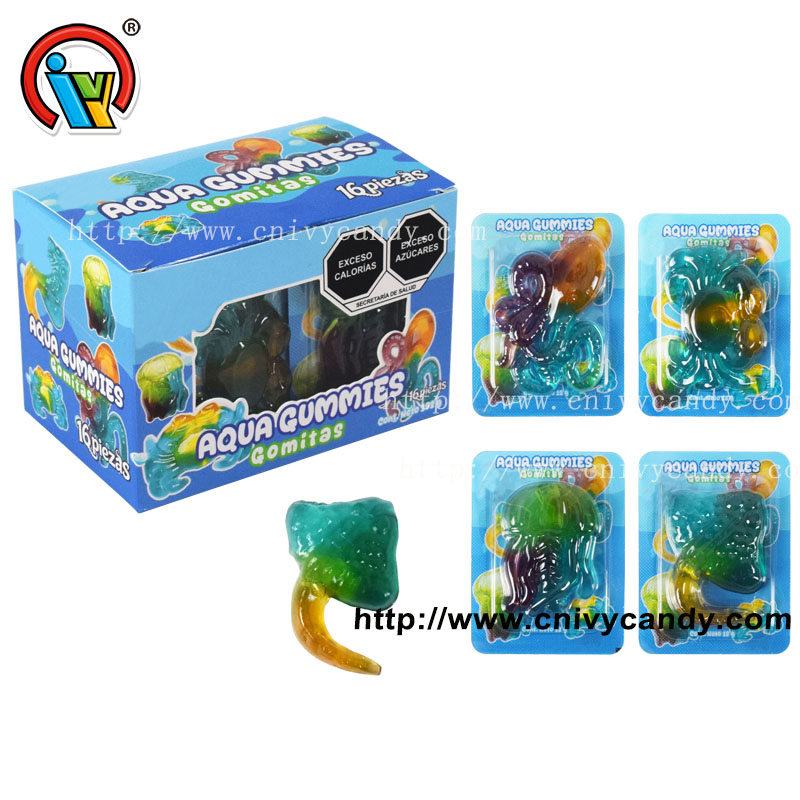 blister jelly gummy candy factory 