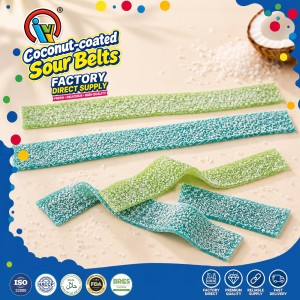 sour belts gummy candy factory